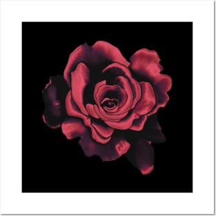 Romantic Red Rose Drawing Posters and Art